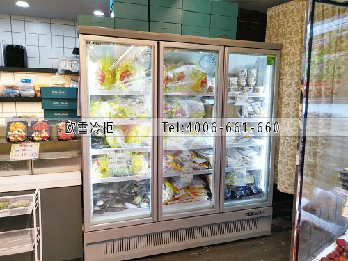 立式低溫冷凍展示柜.jpg 立式低溫冷凍展示柜.jpg
