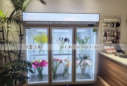鮮花柜-長沙花店三開門保鮮展示柜選購