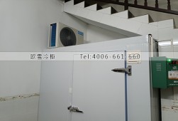 保鮮冷庫-南寧10立方的小型水果冷庫安裝